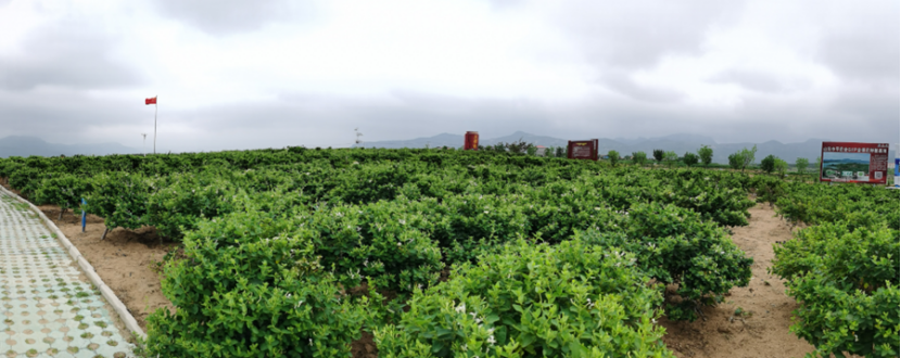 BcEb88zEEY.png BcEb88zEEY.png