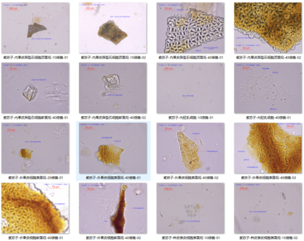 l9IGAnZoW1.png l9IGAnZoW1.png