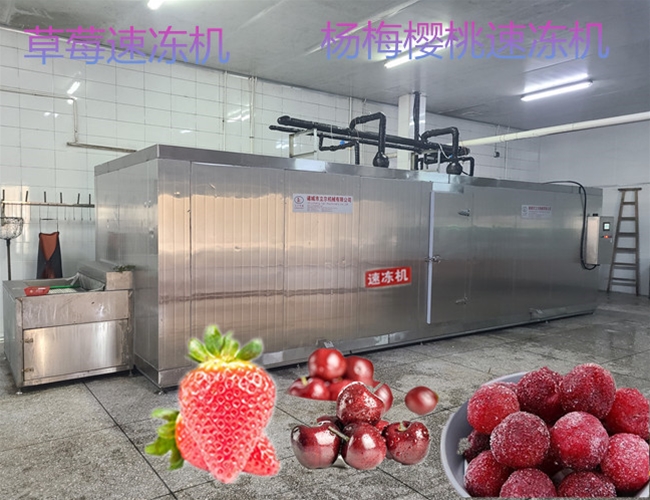流態(tài)化速凍機特點(diǎn)