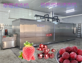 流態(tài)化速凍機特點(diǎn)